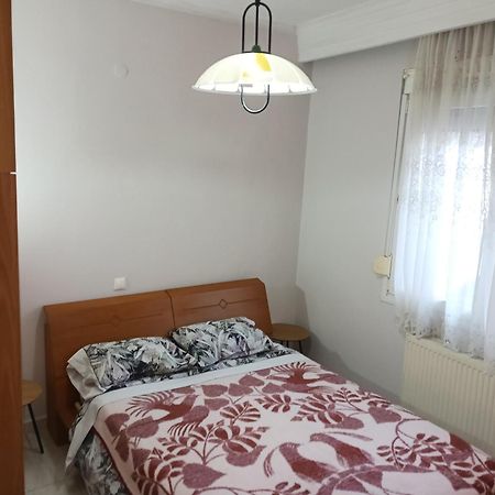 Apartment Marios Soufli Ευρύχωρη Γκαρσονιέρα, 60M2 Στο Κέντρο Souflíon エクステリア 写真